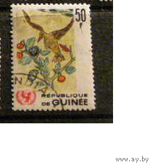 Гвинея 1966 год 20-летия ЮНИСЕФ Фауна птица