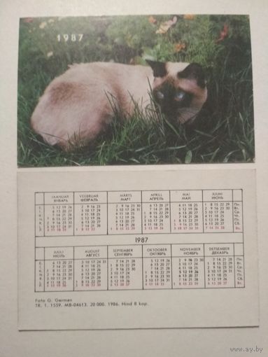 Карманный календарик. Котик .1987 год