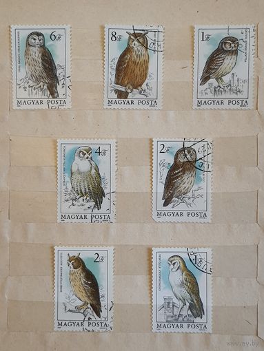 Набор марок "Совы".