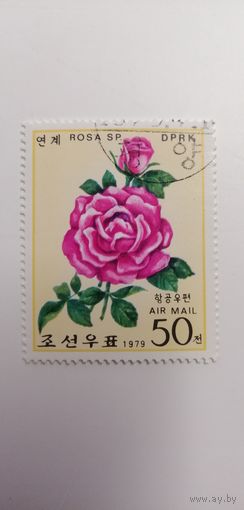 Корея 1979. Розы