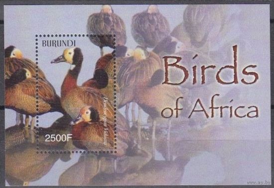 2004 Бурунди 1898/B145 Птицы Африки