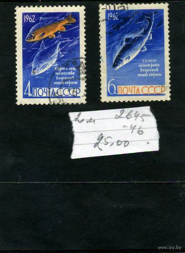 СССР, 1962, РЫБЫ    2м серия  (на "СКАНЕ" справочно приведены номера и цены по ЗАГОРСКОМУ)