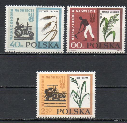 Борьба с голодом Польша 1963 год серия из 3-х марок