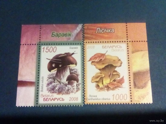 Беларусь 2008 угол серия грибы