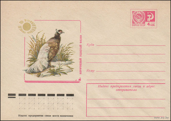 Художественный маркированный конверт СССР N 77-177 (04.04.1977) Коричневый ушастый фазан
