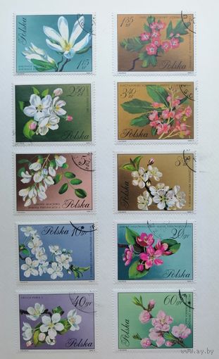 Польша 1971 / Флора / Цветы - Blossoms In Natural Colors / Полная серия - 10 марок