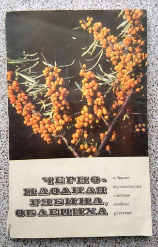 Черноплодная рябина, облепиха и другие перспективные плодово-ягодные растения 1976