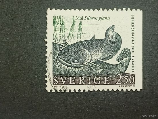 Швеция 1991. Рыбы