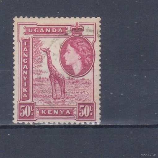 [1985] Британские колонии. Кения,Уганда и Танганьика 1954. Елизавета II.Фауна.Жираф.50с. Гашеная марка.