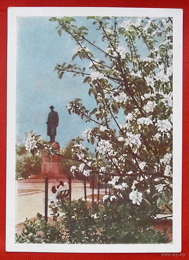 ВДНХ СССР. Мичуринский сад. Чистая. 1959 года.