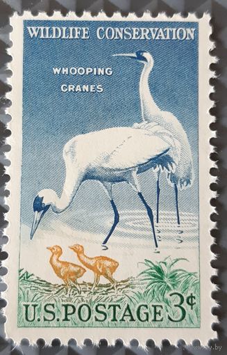 1957  Охрана дикой природы  США