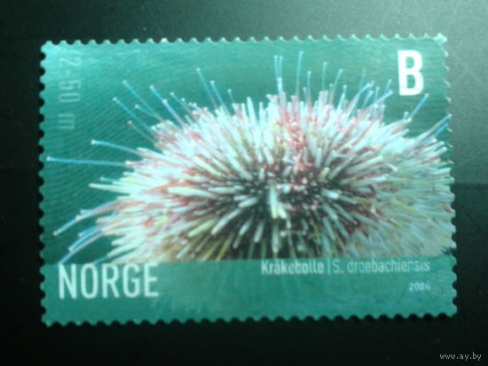 Норвегия 2006 морской еж