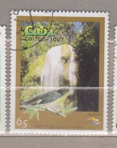 Птицы Фауна Куба 1997 год лот 1074