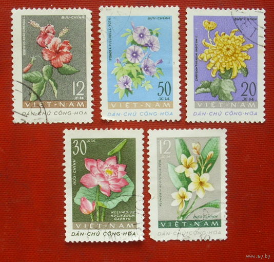 Вьетнам. Цветы. ( 5 марок ) 1962 года. 10-10.