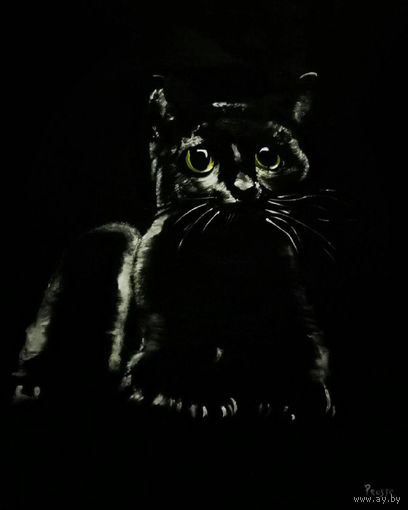 Картина. Холст, масло ''Черный кот''.