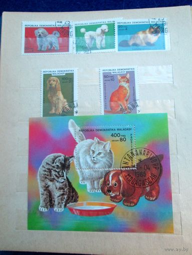 Мадагаскар 1985 год кошки, собаки, серия блок и марки, гашеные.