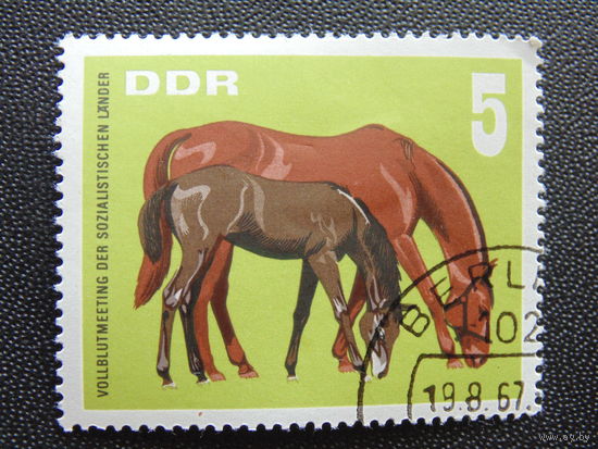 ГДР 1967 г. Лошадь с жеребёнком.