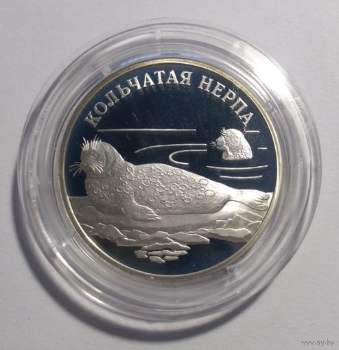 Россия 1 рубль 2007 год "Кольчатая нерпа"-серебро-
