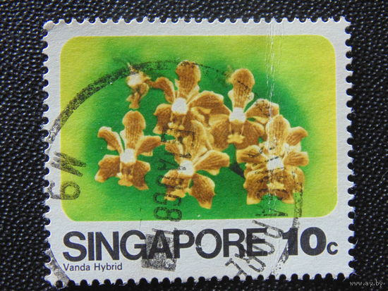 Сингапур 1979 г. Цветы.