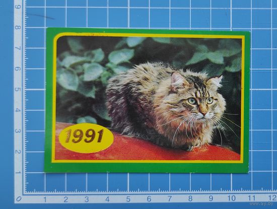 Календарик 1991 год. Кот. Фото А. Калашникова