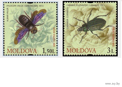 Молдавия Молдова 2009. фауна Насекомые. 2 марки**