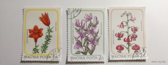 Венгрия 1985. Флора. Цветы. Лилии