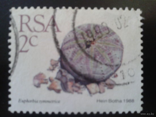 ЮАР 1988 стандарт, камнеломка