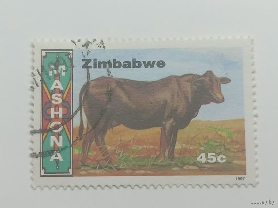 Зимбабве 1997. Породы крупного рогатого скота