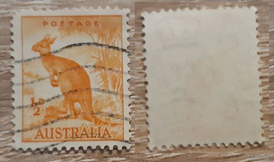 Австралия 1938 Красный кенгуру. Перф. 13 1/2 x 14