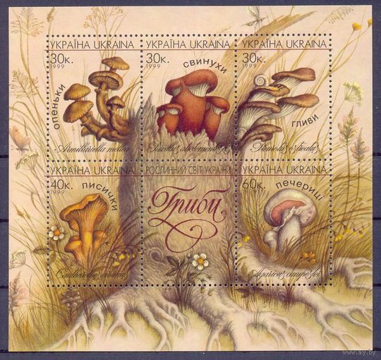Украина 1999 грибы