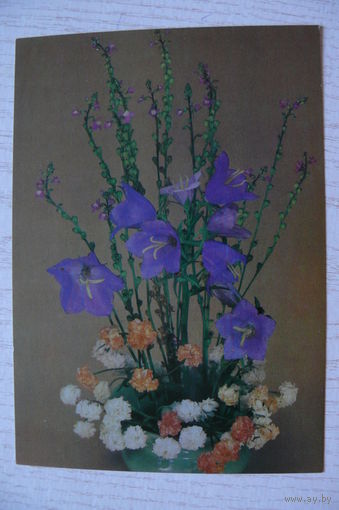 Артемов Е., Котолева Н., Композиция из цветов, 1983, чистая.