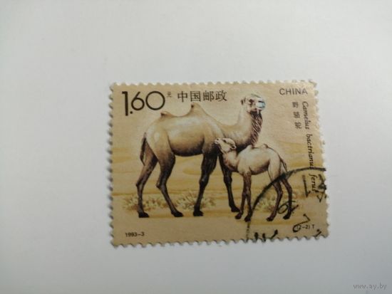 Китай 1993. Двугорбый верблюд.