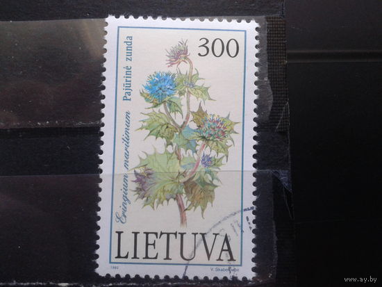 Литва 1992  Чертополох, концевая