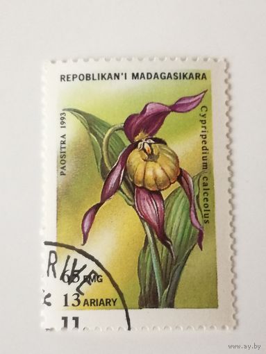 Мадагаскар 1993. Орхидеи. Цветы.