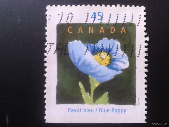 Канада 1997 выставка цветов