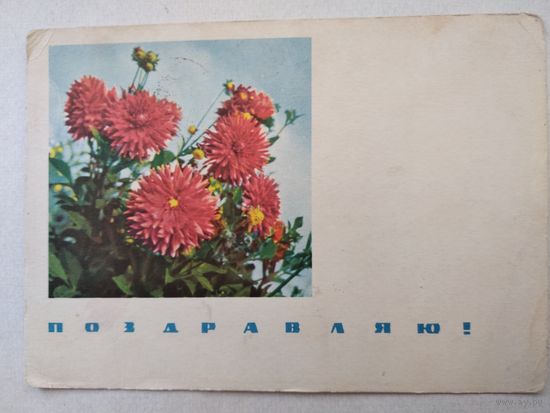 Открытка,почтовая карточка,,поздравляю!,, 1967 г.,подписана