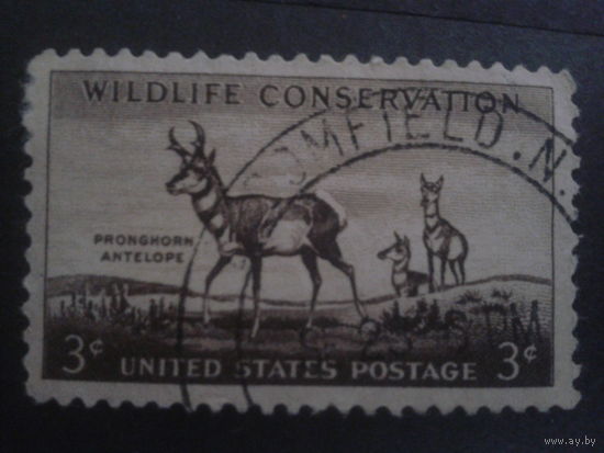 США 1956 антилопы