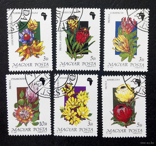 Венгрия 1990 г. Цветы Африки. Флора, полная серия из 6 марок #0275-Ф1P17