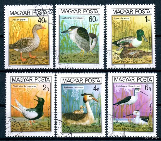 Птицы Фауна Венгрия 1980 год серия из 6 марок