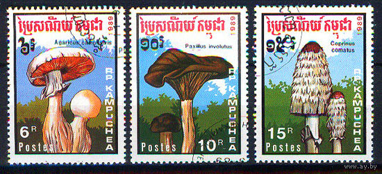 1989 Камбоджа. Грибы