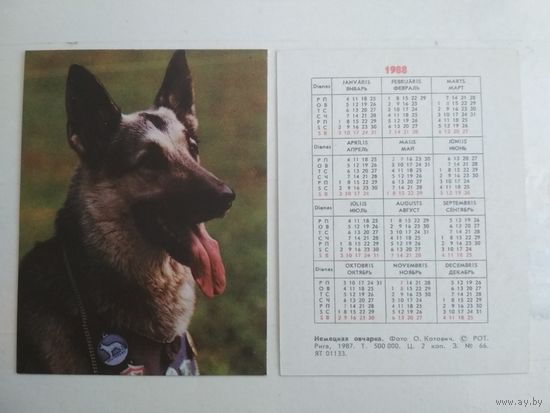 Карманный календарик. Овчарка. 1988 год