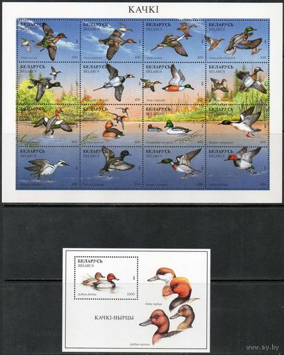 Утки Беларусь 1996 год (174-190) серия из малого листа (16 марок) и 1 блока