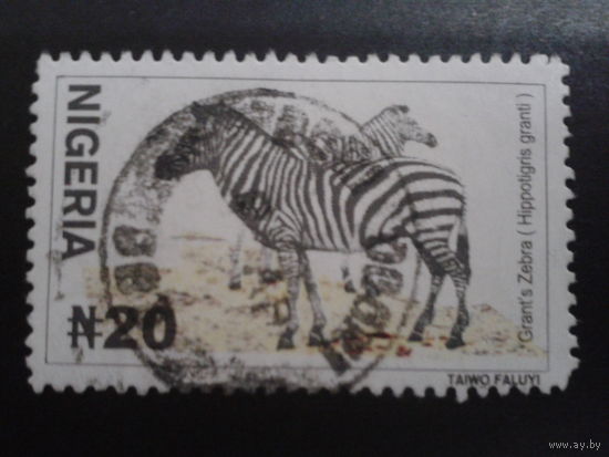 Нигерия 2001 зебры