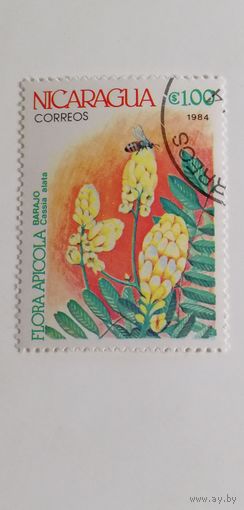 Никарагуа 1984. Цветы