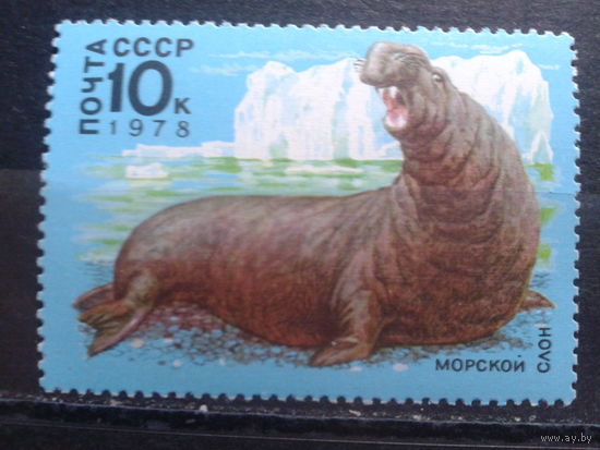 1978 Морской слон** концевая