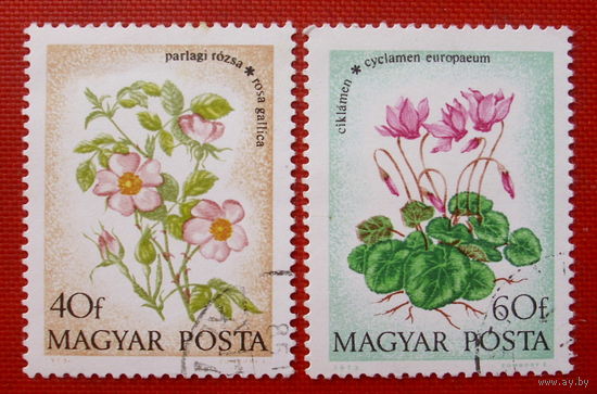 Венгрия. Цветы. ( 2 марки ) 1973 года.