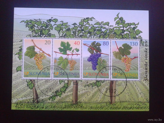 Словения 2000 виноград  блок