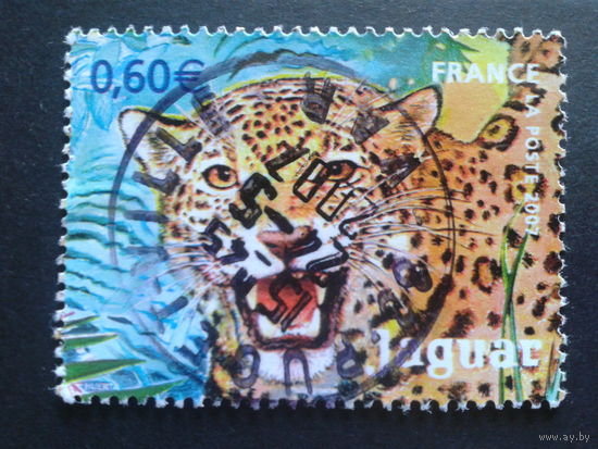 Франция 2007 леопард