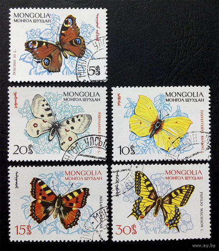 Монголия 1963 г. Бабочки. Насекомые. Фауна, 5 марок #0058-Ф1P12