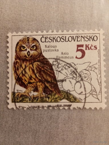 Чехословакия 1986. Фауна. Сова